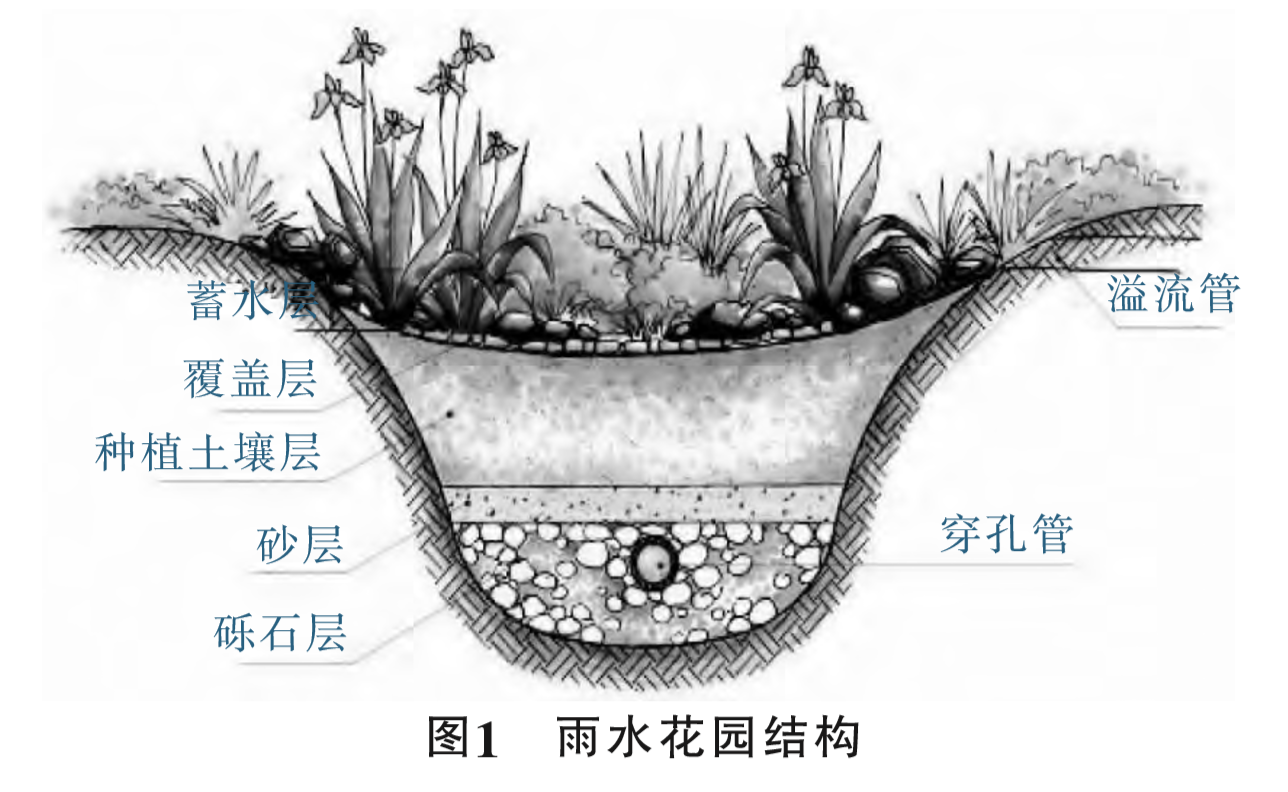 雨水花园结构图.png