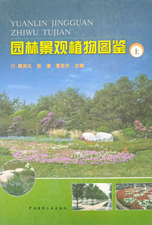 园林景观植物图鉴a.jpg