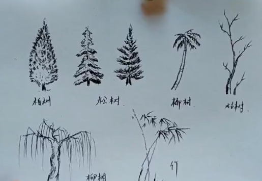 如何画树.png