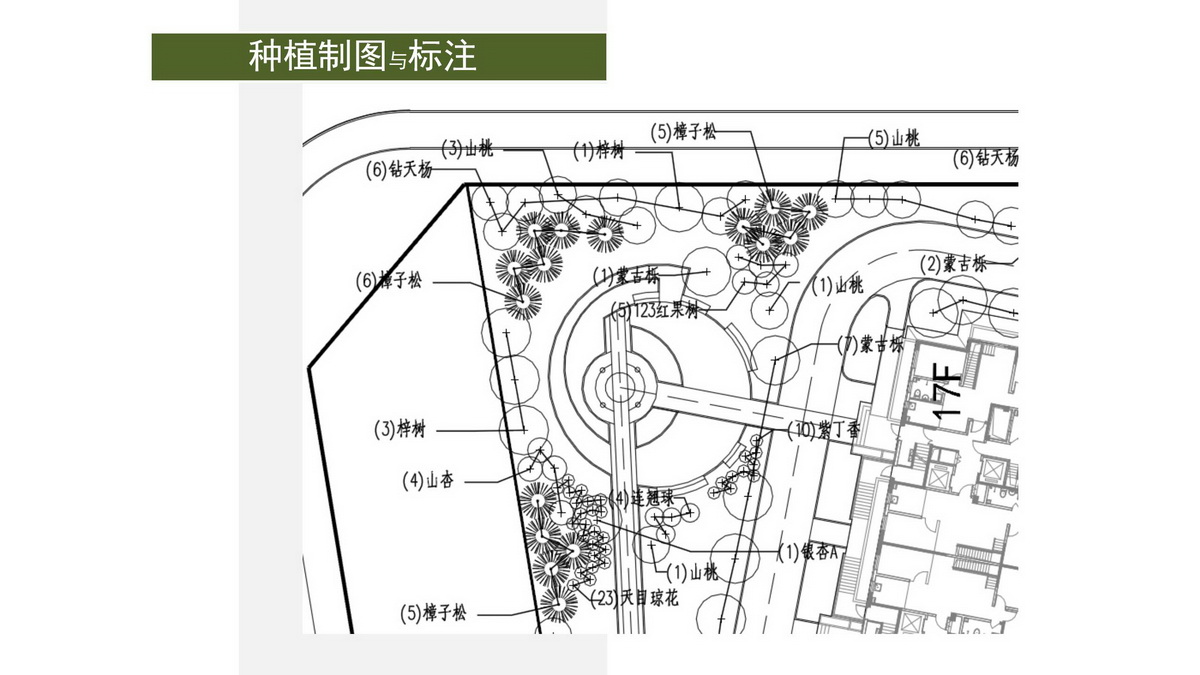 园林施工图讲座D1基础篇240618a_200.jpg